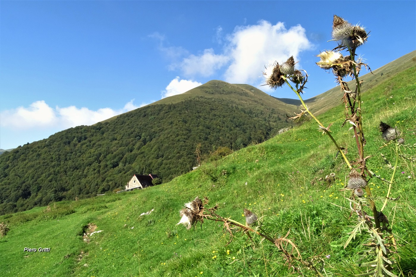 30 Fiori essicati, autunno alle porte.JPG -                                